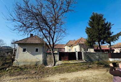 Casă cu 3 camere în Panticeu - 1