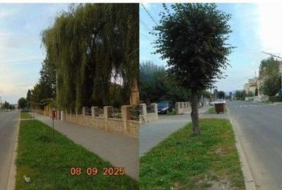 Apartament cu 2 camere în Central - 3