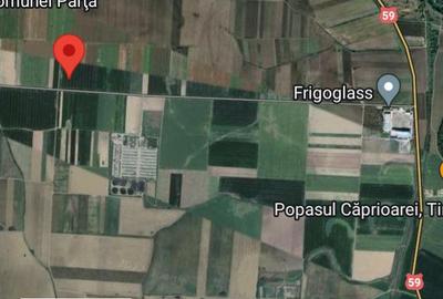 Teren de 48000 mp, în Parța - 3