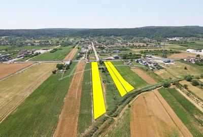 Teren cu potential de dezvoltare -7427 mp in Argeselu, Maracineni, judetul Arges - 1