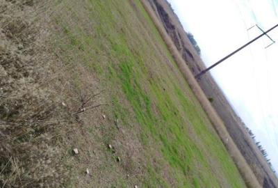 Teren intravilan zona Damila, 800 mp cu deschidere de 40m - 2