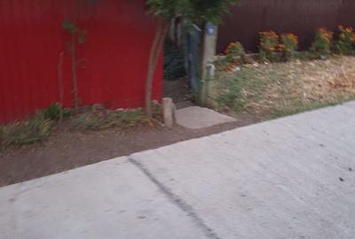 Casă cu 3 camere în Ireasca - 2