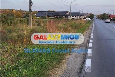 Vand teren intravilan si extravilan 54000 mp la DN7, deschidere 200 m - 1