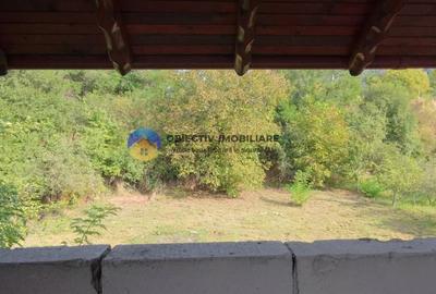 Casă individuală cu 5 camere cu Teren 1688 Mp în Pângărăcior - 4