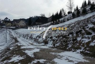 Teren de 3750 mp, în Moieciu - 7