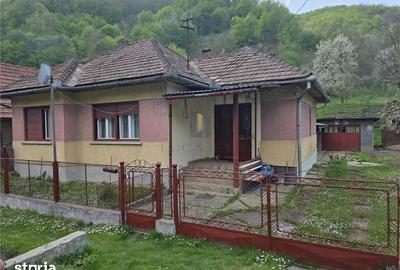 Casă cu 3 camere cu Teren 3748 Mp în Nădrag - 14