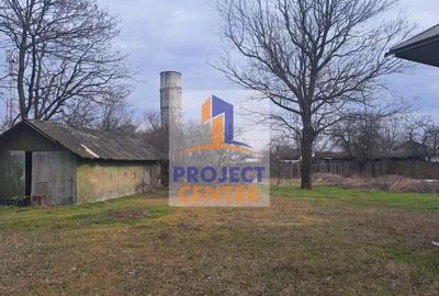 Gospodarie taraneasca in Rociu, Arges - 2