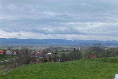 Teren intravilan de 4669 mp, în Dobricionești - 2