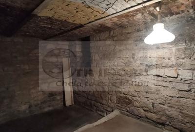 APARTAMENT ULTRACENTRAL , PIATA UNIRII, CUZA VODA 70 MP PLUS CURTE - 44