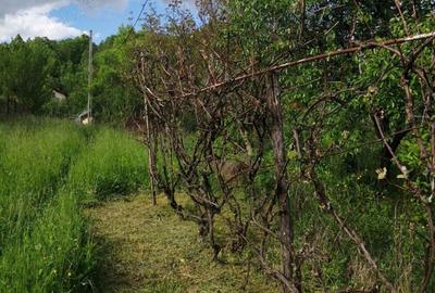 Casa de vanzare Provita de Jos Prahova - 6