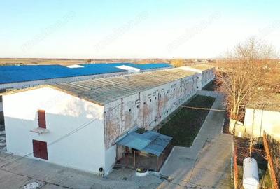 Spațiu comercial, de 2,400 mp, în Leș - 12