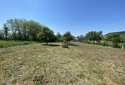 Spațiu comercial, în Sânandrei - 5