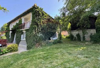 Casă cu 5 camere cu Teren 741 Mp în Mediaș - 16