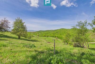 Casă individuală cu 3 camere cu Canalizare în Dulcele - 9