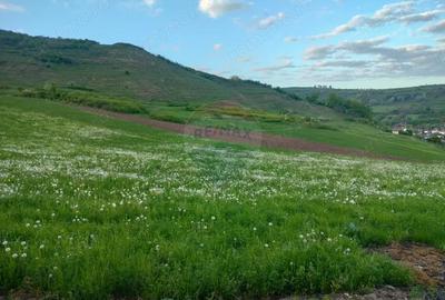 Teren de 1577 mp, în Târnăveni - 6