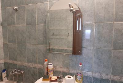 Piata Muncii-Campia Libertatii stradal - 15