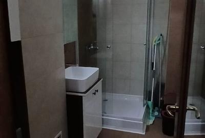 Apartament cu o camera Mazepa 2 suprafata generoasa et 1 - 8