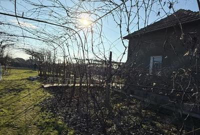 Casă cu 3 camere cu Teren 1792 Mp în Cioroboreni - 7