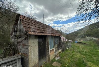 Casă cu 4 camere cu Teren 12186 Mp în Boiu - 3