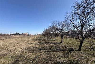 Teren de 8102 mp, în Smeura - 4