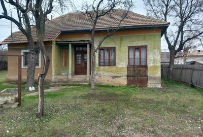 Casa de vanzare Casa de vanzare - 3