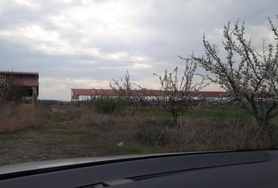 Proprietate specială, de 5,441 mp, în Vâlcelele - 3