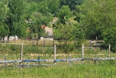 Teren extravilan arabil Tisau, ID: R2590475 - 9