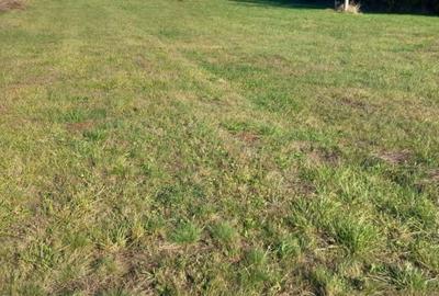 Teren de 3800 mp, în Spătărești - 3