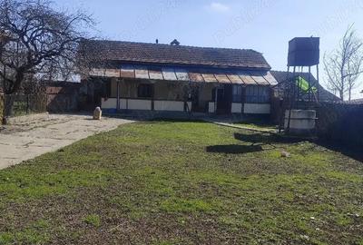 Casă cu 3 camere cu Teren 4208 Mp în Giurgița - 2