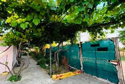 Vand casa 110mp pod mansardabil cu teren 700mp in Capidava, Topalu - 9