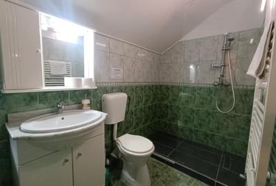 Casă individuală cu 7 camere cu Canalizare în Valea Mănăstirii - 6