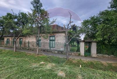 Vanzare AFACERE PROFITABILA si IMOBIL 324 mp cu teren 5077 mp Ghioroc - 11