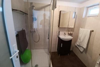 Ultracentral, spatiu comercial  D+P+1, curte generoasa, IDEAL BIROURI - 9