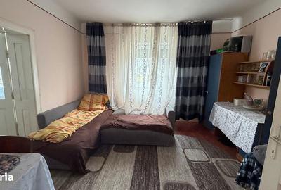 Casă cu 3 camere cu Teren 1798 Mp în Pișcolt - 5