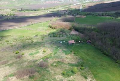 Teren de 659000 mp, în Copșa Mică - 8