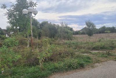 Spațiu comercial, în Băcia - 1