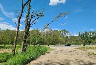 Teren de vanzare / Dem Radulescu - 7