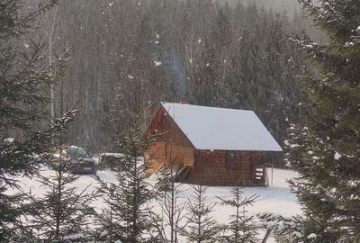 Teren de 9172 mp, în Pintic - 9