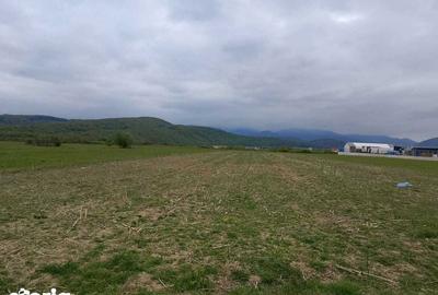Teren de 7000 mp, în Central - 5