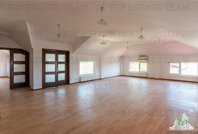 Vila 9 camere ideala pentru firme/cazare muncitori langa Lacul Morii - 18