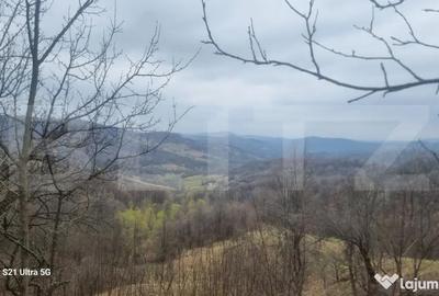 Teren în Schiulești - 14