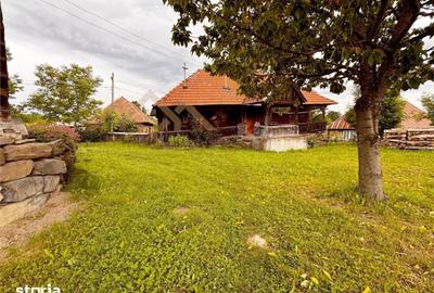 Casă cu 3 camere cu Teren 5300 Mp în Ocna Șugatag - 2