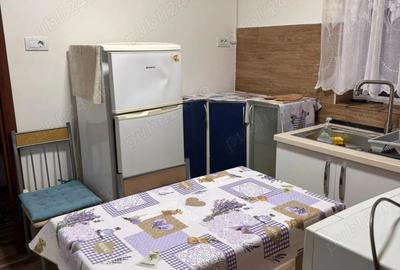 Ap 1 cam spatios la casa mobilat si utilat parter - 4