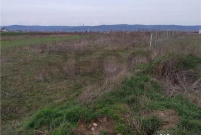 Teren în Livada de Bihor