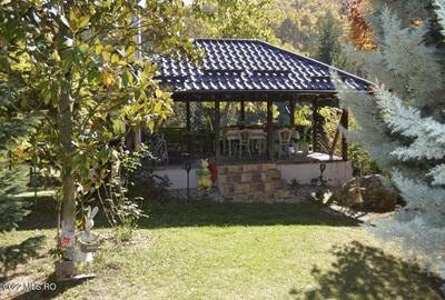 Topoloveni - Conacul Ion Mihalache, Domeniu pe 5 Hectare - 14