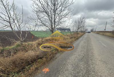 Teren de 13800 mp, în Narcisa - 2