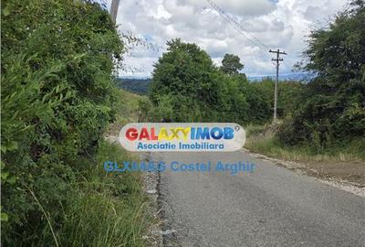 Vindem terenuri intravilane in Campulung - Arges 3400 si 180 - 3