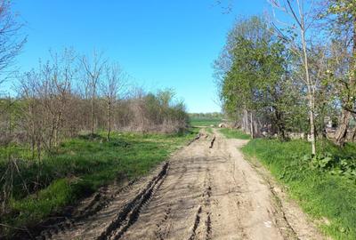 Teren Construcții intravilan de 2927 mp, în Țegheș - 7