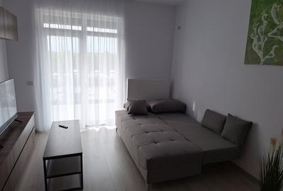 DOBROESTI, 2023, 2 cam dec nou mobilat, cu terasa si loc parcare - 6