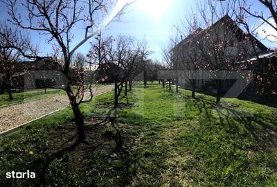 Teren de 5300 mp, în Voinești - 4